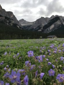 Alta Badia con i bambini