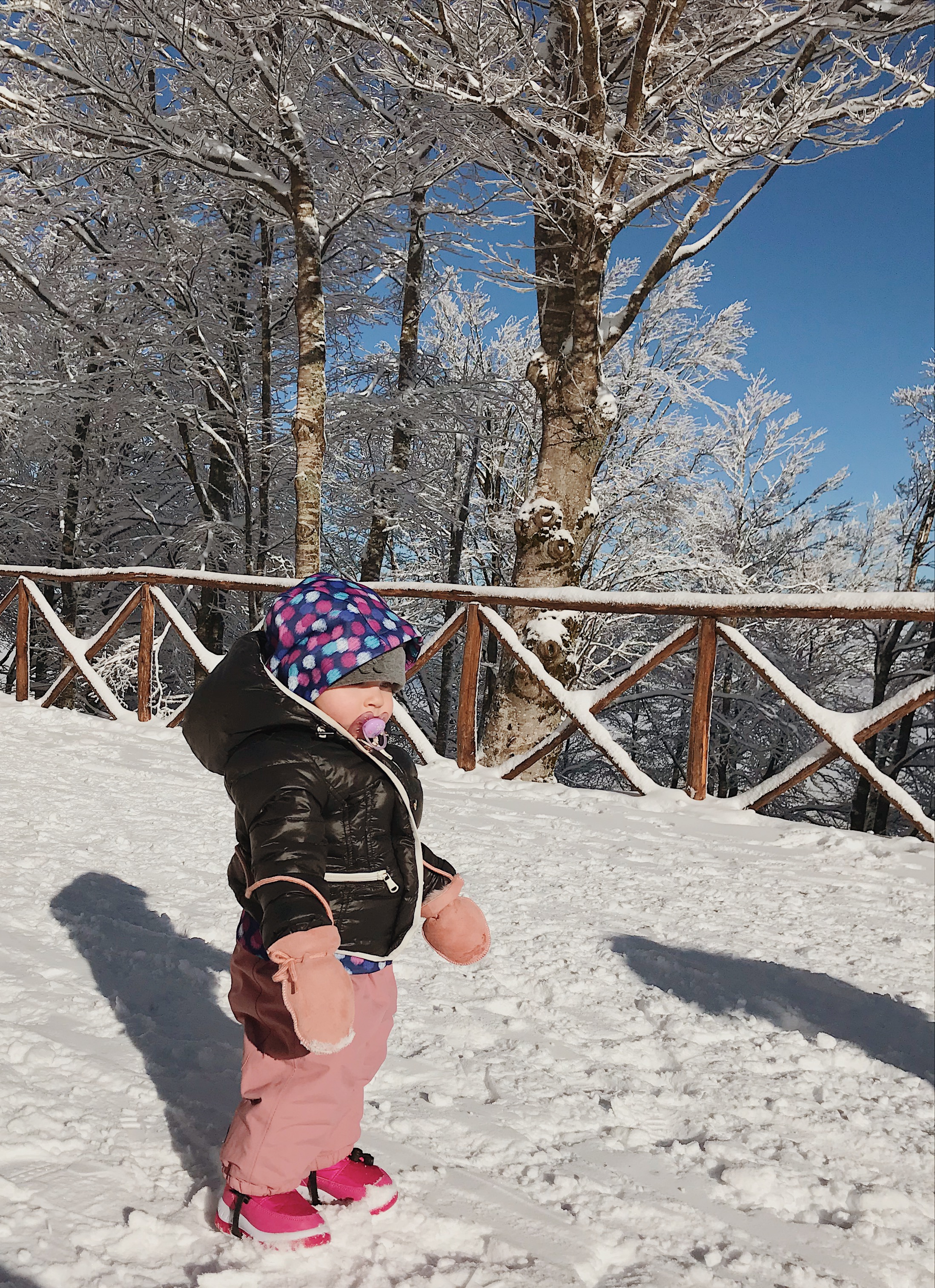 VANCAMP Tuta da Neve per Donna Uomo Bambini Bambino Unisex Invernale Impermeabile Sci con Cappuccio 