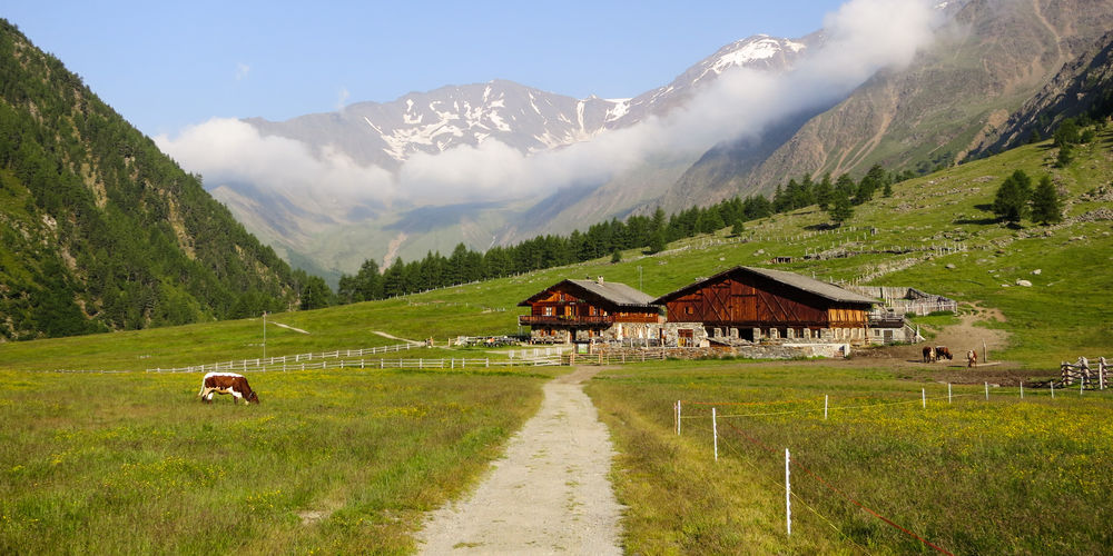 val senales bambini