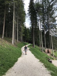 alleghe ally farm
