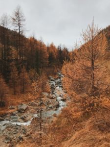 foliage val senales