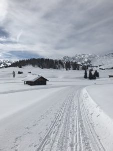 passeggiate alpe di siusi