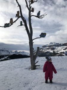 trekking neve alta badia