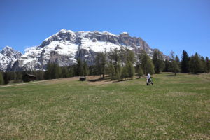 armentara ranch da andre