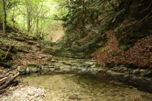 Appennino bambini monte cucco