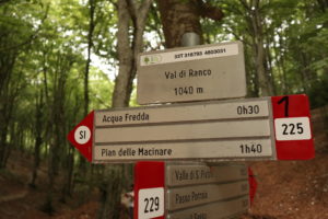 Appennino bambini monte cucco