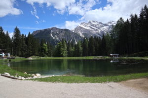 cortina bambini passeggino