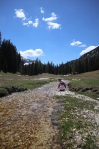 cortina bambini passeggino