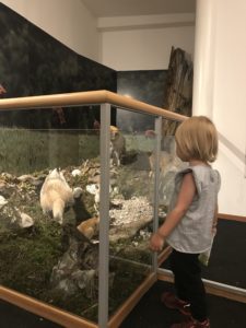 San Vigilio bambini