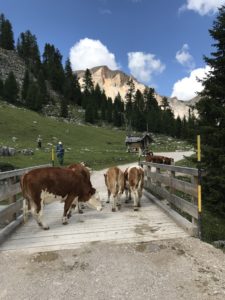 bambini fanes dolomiti