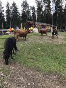 San Vigilio bambini passeggino