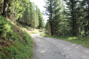 monte muro bambini passeggino