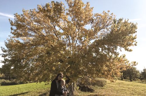 autunno cosa fare con i bambini