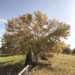 autunno cosa fare con i bambini