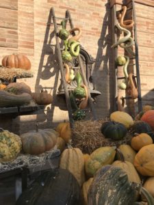 autunno cosa fare con i bambini