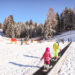 neve val di Fiemme bellamonte bambini