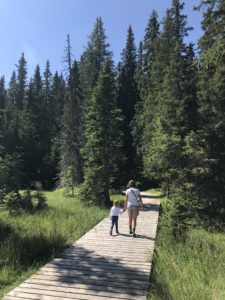 racines bambini passeggino