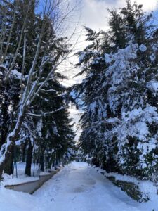 neve poggio san Romualdo