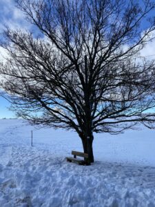 neve poggio san Romualdo