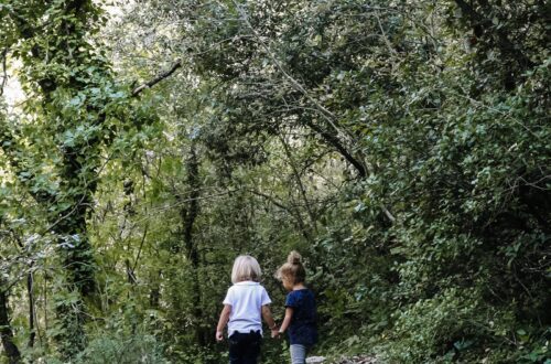 aria aperta natura bambini