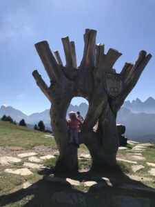 Woody Walk Plose