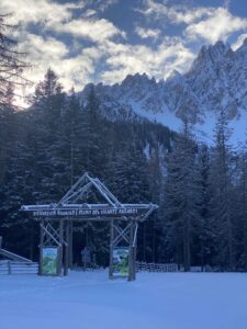 Monte Baranci sciare bambini